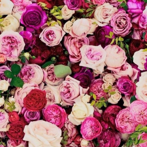 Meet your Posher, Jenene - Picture 1 of 1